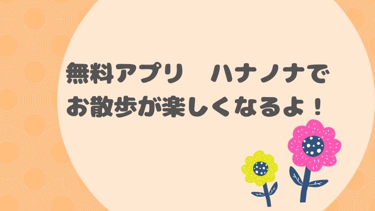 花の名前を教えてくれるアプリ ハナノナ で子どもとのお散歩を楽しく 我が子教育研究所